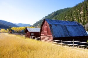 Barns along the Salmon River Idaho