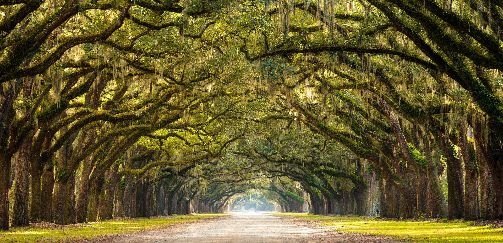 Charleston, Savannah and the Golden Isles - Deep South Road Trip - All Roads North