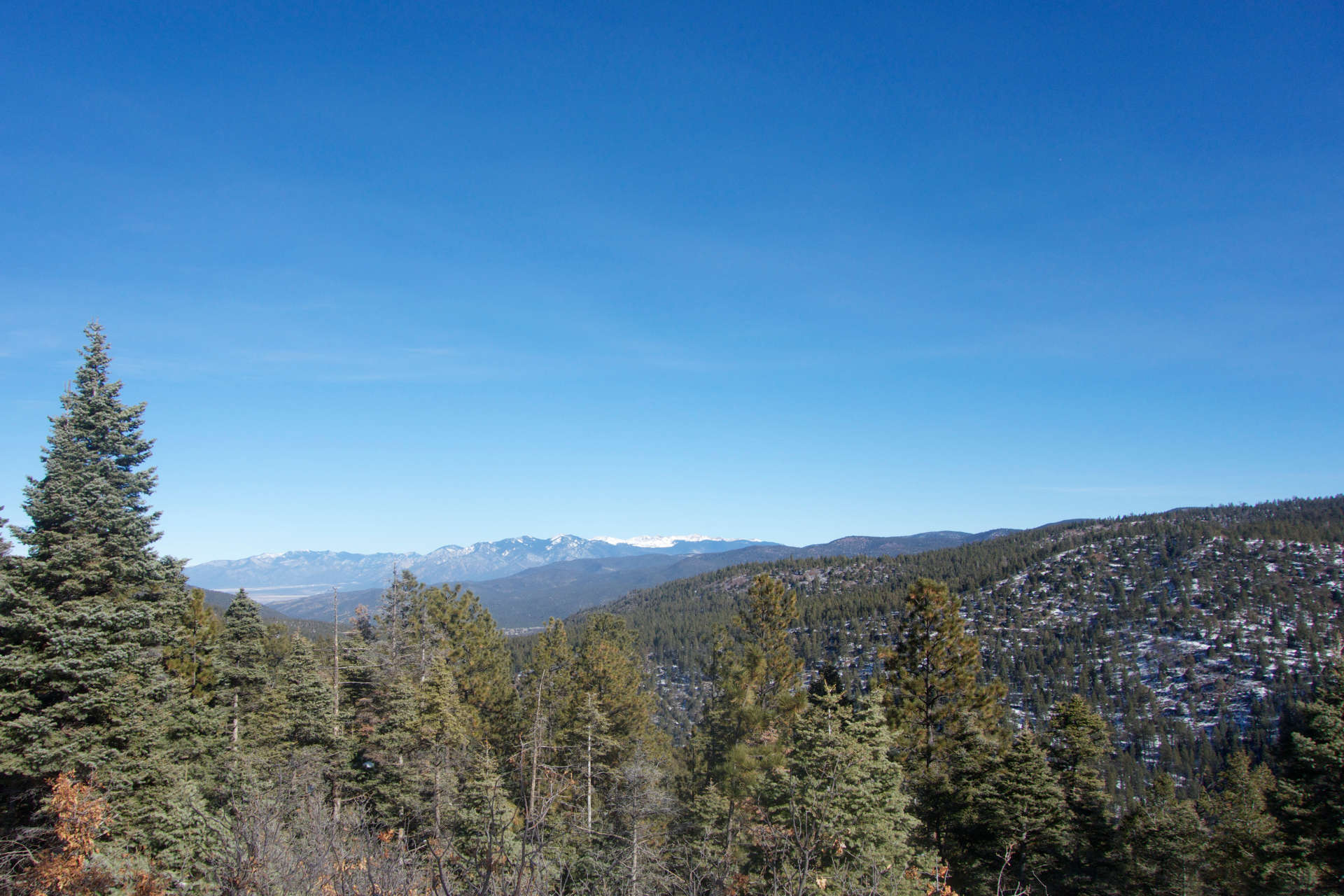 Carson National Forest All Roads North