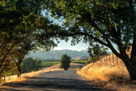 california road trip family