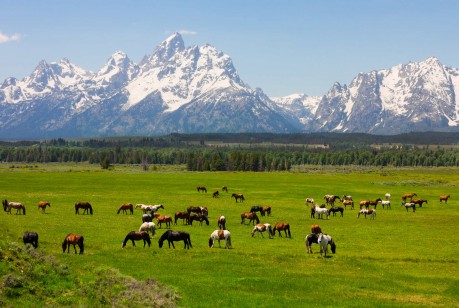 montana to wyoming road trip