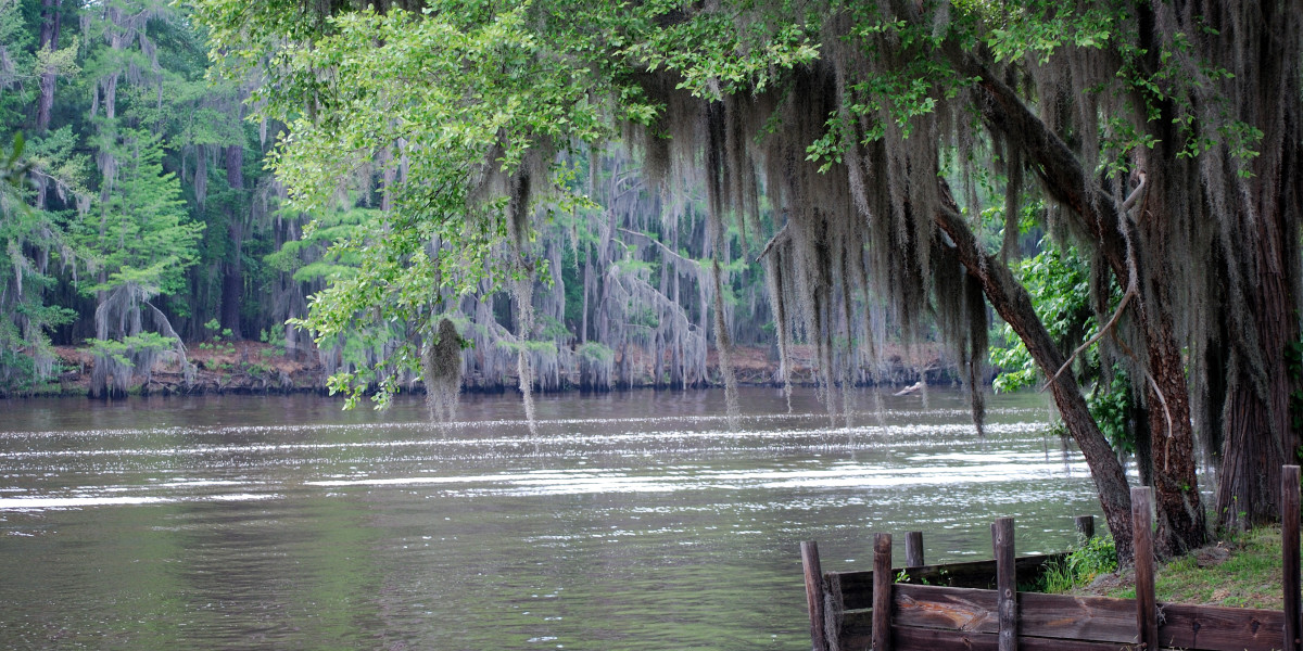 cajun country road trip