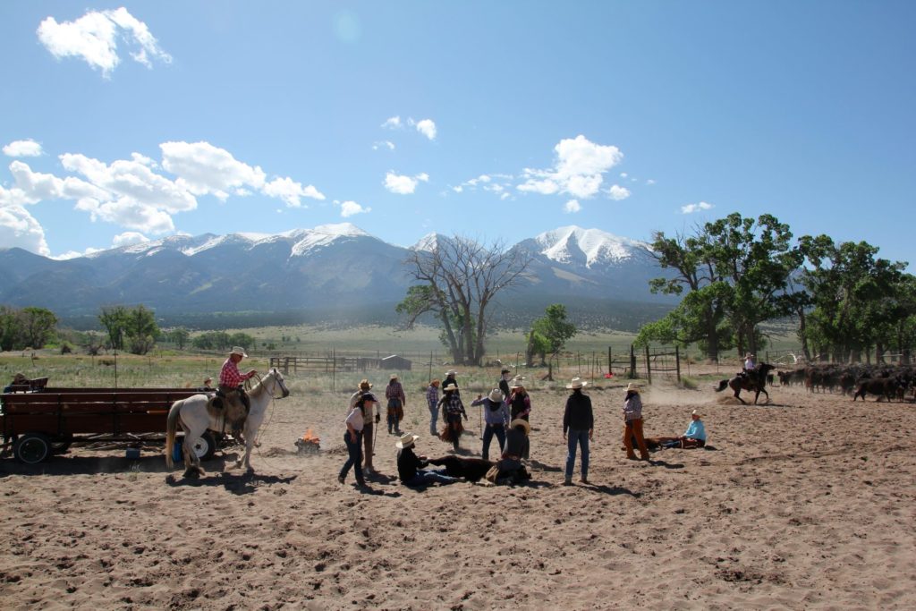 Branding with a mountain backdrop at Zapata