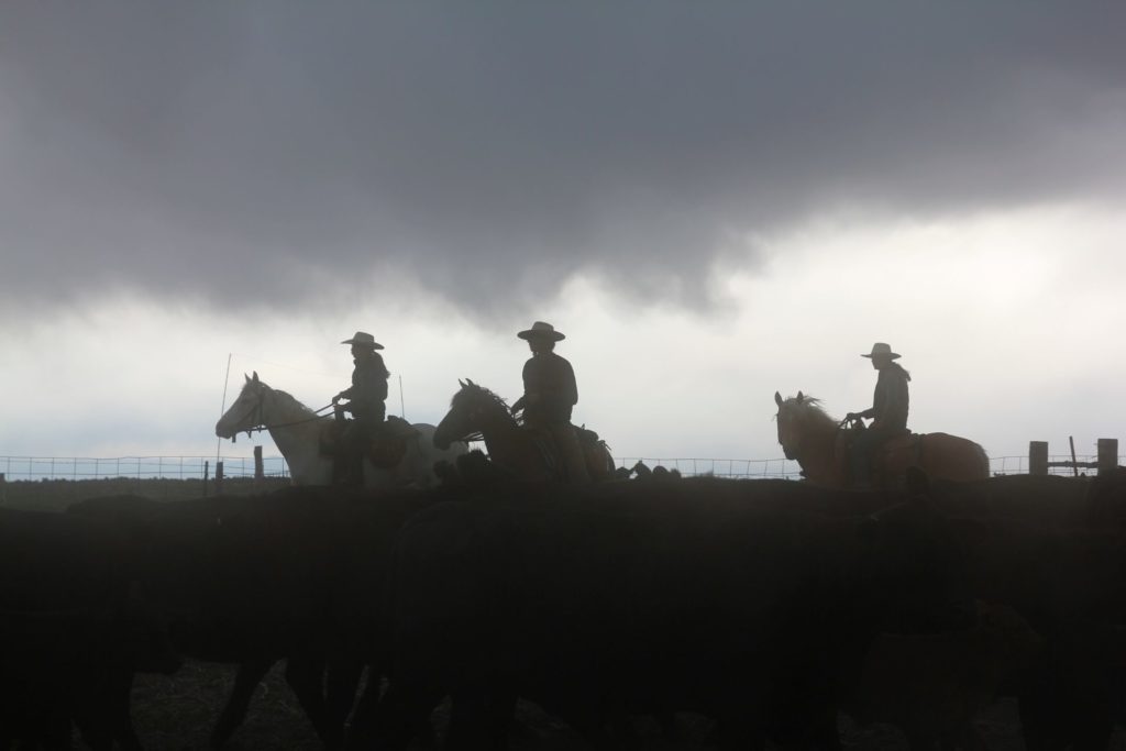 Wranglers in a dust storm at Zapata Ranch