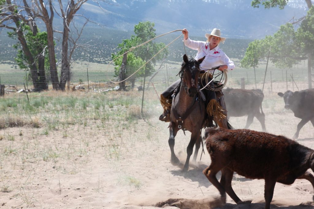Zapata Ranch Manager, Kate Mathiessen, in action