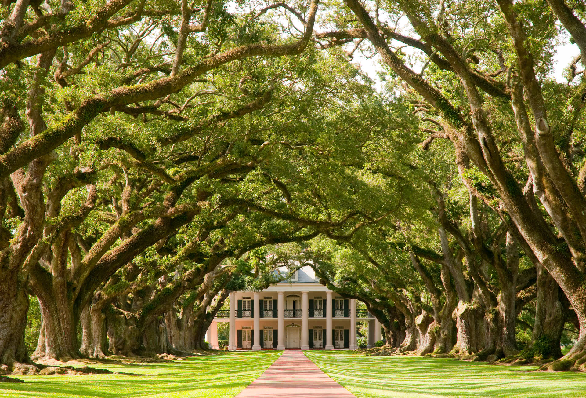 Oak Alley Plantation in Louisiana All Roads North
