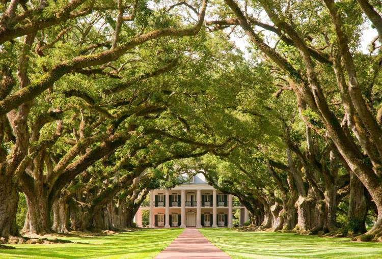 Oak Alley Plantation in Louisiana