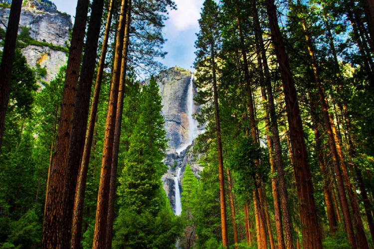 Yosemite Falls