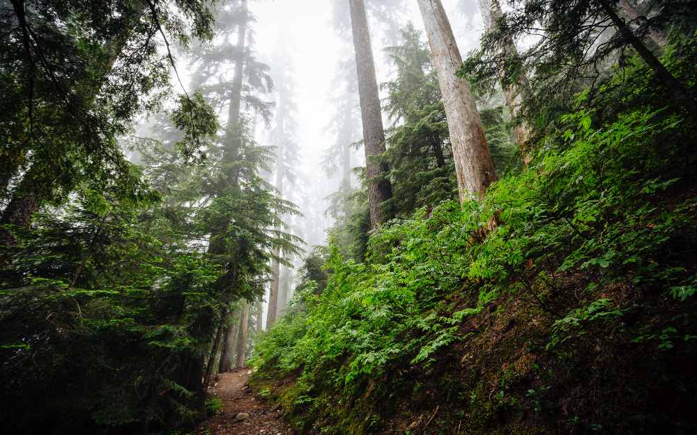 Snoqualmie Pass