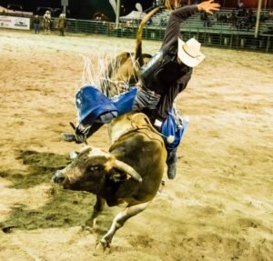 Jackson Hole Rodeo Bullrider