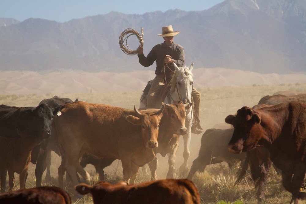Cattle work at Zapata Ranch