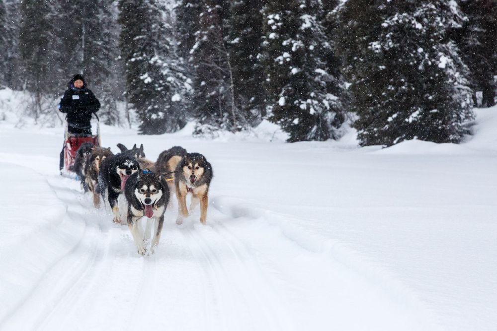 Winterlake Lodge