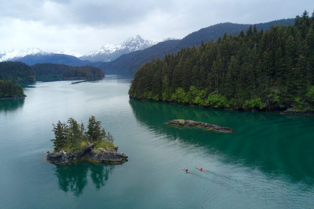 Sea kayaking Within the Wild