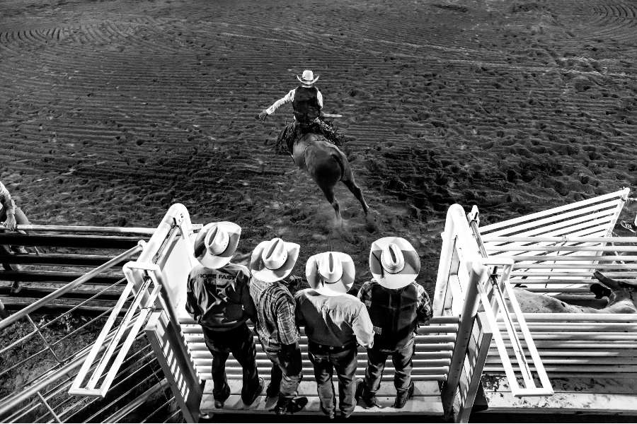 BULL RIDER @AMK