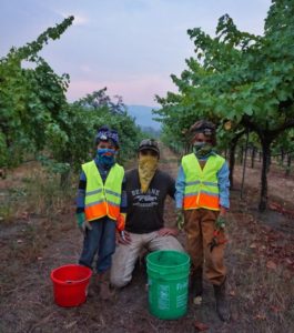 Beltane Ranch Vineyards