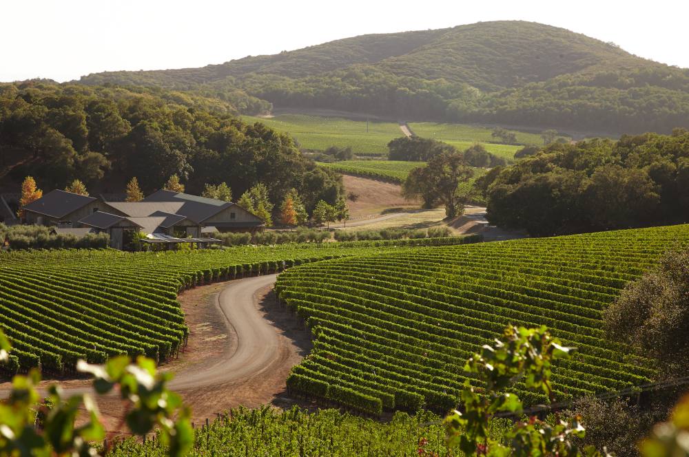 Kenzo Winery