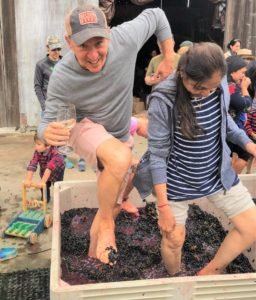 Belden Barns Grape Stomp