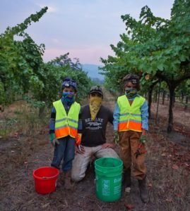 Harvest at Beltane Ranch