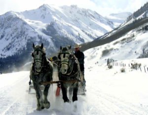 Pine Creek Cookhouse Sleigh