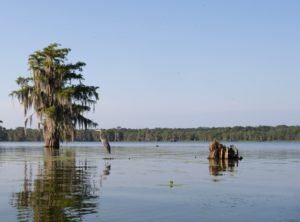 Kayak Louisiana