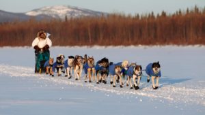 Iditarod Trail