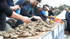 Lowcountry Oyster Festival