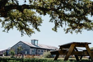 Treaty Oak Distilling