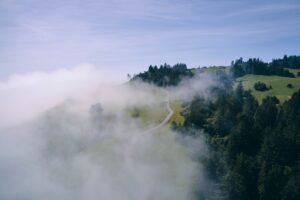 Sonoma Coast