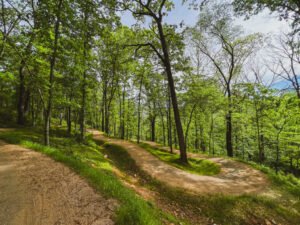 Bentonville Trails