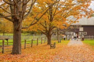 Billings Farm in Fall