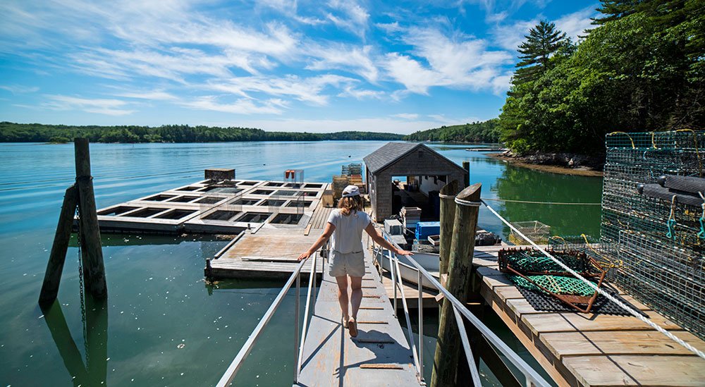 Glidden Point Oyster Farms
