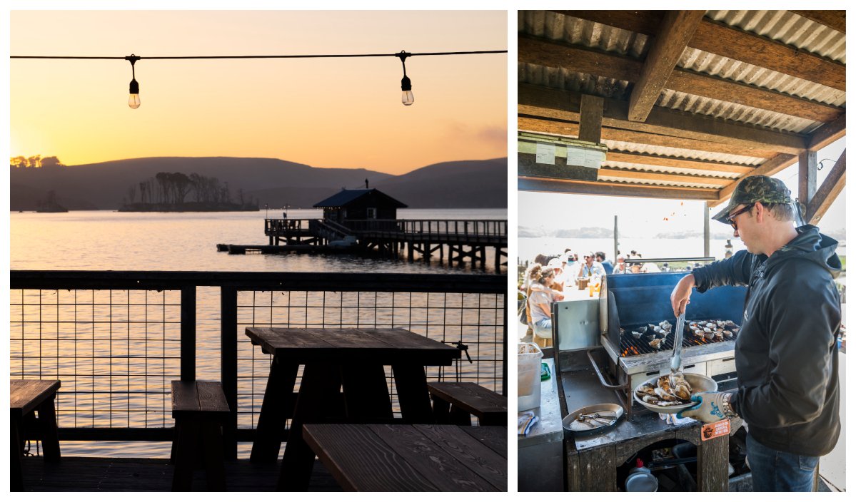 Tomales Bay